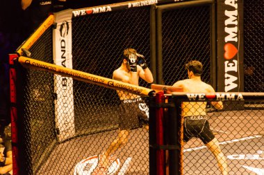 Hamburg, Almanya - 18 Kasım 2017: Yaaa Schafie ve Ashab Elichanov biz aşk Mma 34 sırasında arasındaki mücadele 