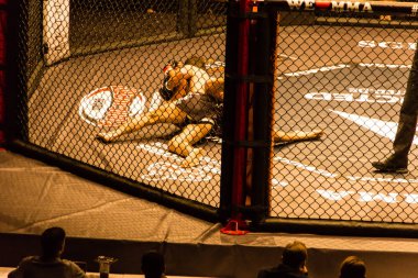 Hamburg, Almanya - 18 Kasım 2017: Yaaa Schafie ve Ashab Elichanov biz aşk Mma 34 sırasında arasındaki mücadele 