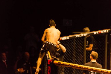 Hamburg, Almanya - 18 Kasım 2017: Yaaa Schafie ve Ashab Elichanov biz aşk Mma 34 sırasında arasındaki mücadele 