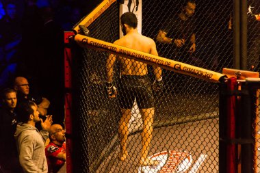 Hamburg, Almanya - 18 Kasım 2017: Yedinci kavga sırasında biz aşk Mma 34 