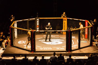 Hamburg, Almanya - 18 Kasım 2017: Yedinci kavga sırasında biz aşk Mma 34 