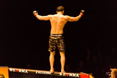 Hamburg, Almanya - 18 Kasım 2017: Yedinci kavga sırasında biz aşk Mma 34 