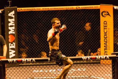 Hamburg, Almanya - 18 Kasım 2017: Yedinci kavga sırasında biz aşk Mma 34 
