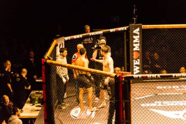 Hamburg, Almanya - 18 Kasım 2017: Yedinci kavga sırasında biz aşk Mma 34 