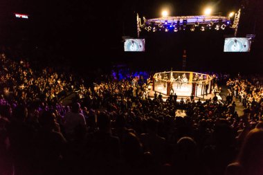 Hamburg, Almanya - 18 Kasım 2017: Yedinci kavga sırasında biz aşk Mma 34 