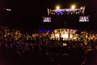 Hamburg, Almanya - 18 Kasım 2017: Yedinci kavga sırasında biz aşk Mma 34 
