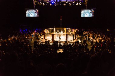 Hamburg, Almanya - 18 Kasım 2017: Yedinci kavga sırasında biz aşk Mma 34 