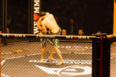 Hamburg, Almanya - 18 Kasım 2017: Sekizinci kavga sırasında biz aşk Mma 34 