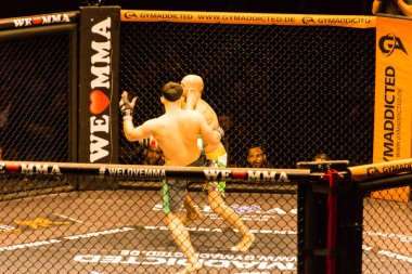 Hamburg, Almanya - 18 Kasım 2017: Sekizinci kavga sırasında biz aşk Mma 34 