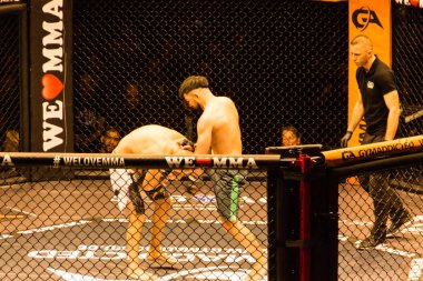 Hamburg, Almanya - 18 Kasım 2017: Sekizinci kavga sırasında biz aşk Mma 34 