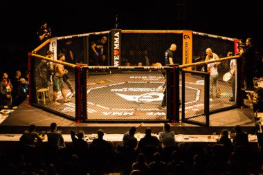 Hamburg, Almanya - 18 Kasım 2017: Sekizinci kavga sırasında biz aşk Mma 34 