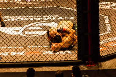 Hamburg, Almanya - 18 Kasım 2017: Sekizinci kavga sırasında biz aşk Mma 34 