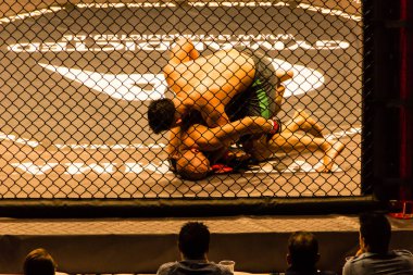 Hamburg, Almanya - 18 Kasım 2017: Sekizinci kavga sırasında biz aşk Mma 34 