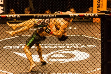 Hamburg, Almanya - 18 Kasım 2017: Sekizinci kavga sırasında biz aşk Mma 34 