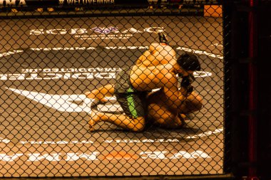 Hamburg, Almanya - 18 Kasım 2017: Sekizinci kavga sırasında biz aşk Mma 34 