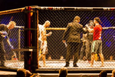 Hamburg, Almanya - 18 Kasım 2017: Sekizinci kavga sırasında biz aşk Mma 34 