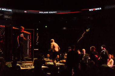 Hamburg, Almanya - 18 Kasım 2017: Roland Krifft ve Tino Mueller sırasında biz aşk Mma 34 arasındaki mücadele 
