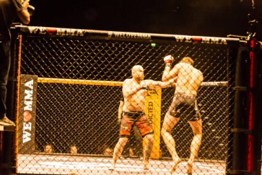 Hamburg, Almanya - 18 Kasım 2017: Roland Krifft ve Tino Mueller sırasında biz aşk Mma 34 arasındaki mücadele 