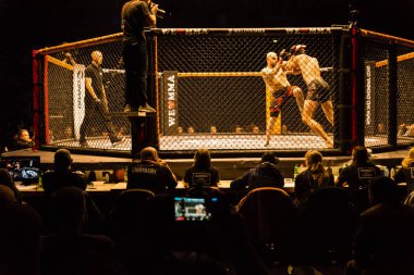 Hamburg, Almanya - 18 Kasım 2017: Roland Krifft ve Tino Mueller sırasında biz aşk Mma 34 arasındaki mücadele 