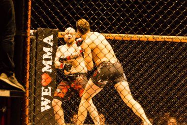 Hamburg, Almanya - 18 Kasım 2017: Roland Krifft ve Tino Mueller sırasında biz aşk Mma 34 arasındaki mücadele 