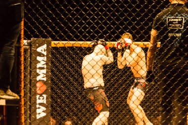 Hamburg, Almanya - 18 Kasım 2017: Roland Krifft ve Tino Mueller sırasında biz aşk Mma 34 arasındaki mücadele 
