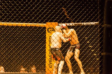 Hamburg, Almanya - 18 Kasım 2017: Roland Krifft ve Tino Mueller sırasında biz aşk Mma 34 arasındaki mücadele 