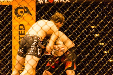 Hamburg, Almanya - 18 Kasım 2017: Roland Krifft ve Tino Mueller sırasında biz aşk Mma 34 arasındaki mücadele 