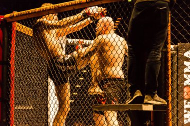 Hamburg, Almanya - 18 Kasım 2017: Roland Krifft ve Tino Mueller sırasında biz aşk Mma 34 arasındaki mücadele 