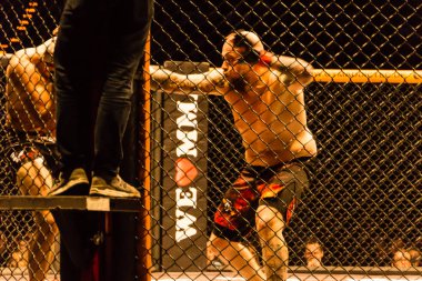 Hamburg, Almanya - 18 Kasım 2017: Roland Krifft ve Tino Mueller sırasında biz aşk Mma 34 arasındaki mücadele 