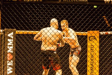 Hamburg, Almanya - 18 Kasım 2017: Roland Krifft ve Tino Mueller sırasında biz aşk Mma 34 arasındaki mücadele 