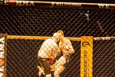 Hamburg, Almanya - 18 Kasım 2017: Roland Krifft ve Tino Mueller sırasında biz aşk Mma 34 arasındaki mücadele 