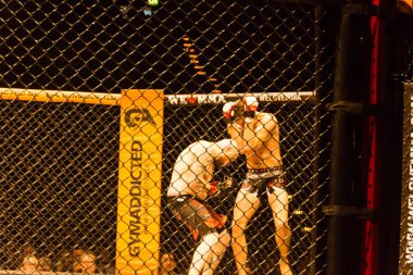 Hamburg, Almanya - 18 Kasım 2017: Roland Krifft ve Tino Mueller sırasında biz aşk Mma 34 arasındaki mücadele 