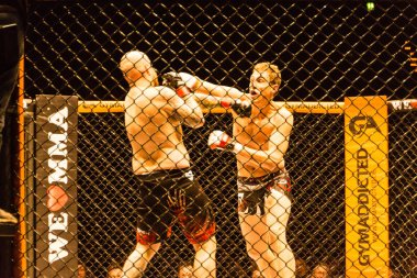 Hamburg, Almanya - 18 Kasım 2017: Roland Krifft ve Tino Mueller sırasında biz aşk Mma 34 arasındaki mücadele 