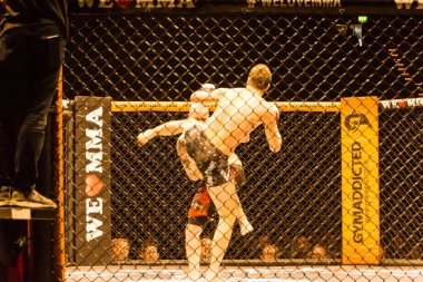 Hamburg, Almanya - 18 Kasım 2017: Roland Krifft ve Tino Mueller sırasında biz aşk Mma 34 arasındaki mücadele 