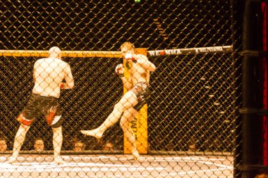 Hamburg, Almanya - 18 Kasım 2017: Roland Krifft ve Tino Mueller sırasında biz aşk Mma 34 arasındaki mücadele 