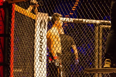 Hamburg, Almanya - 18 Kasım 2017: Alexander parlaklık ve Mustafa Ahmedi biz aşk Mma 34 sırasında arasındaki mücadele 