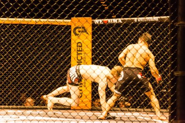 Hamburg, Almanya - 18 Kasım 2017: Alexander parlaklık ve Mustafa Ahmedi biz aşk Mma 34 sırasında arasındaki mücadele 