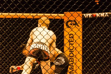 Hamburg, Almanya - 18 Kasım 2017: Alexander parlaklık ve Mustafa Ahmedi biz aşk Mma 34 sırasında arasındaki mücadele 