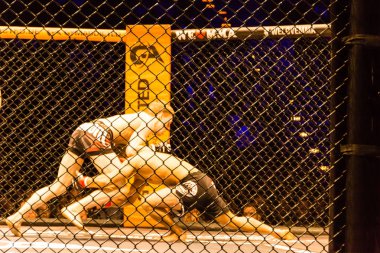Hamburg, Almanya - 18 Kasım 2017: Alexander parlaklık ve Mustafa Ahmedi biz aşk Mma 34 sırasında arasındaki mücadele 