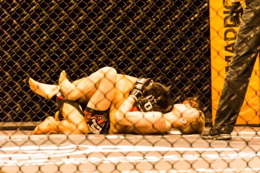 Hamburg, Almanya - 18 Kasım 2017: Alexander parlaklık ve Mustafa Ahmedi biz aşk Mma 34 sırasında arasındaki mücadele 