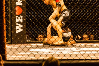 Hamburg, Almanya - 18 Kasım 2017: Alexander parlaklık ve Mustafa Ahmedi biz aşk Mma 34 sırasında arasındaki mücadele 