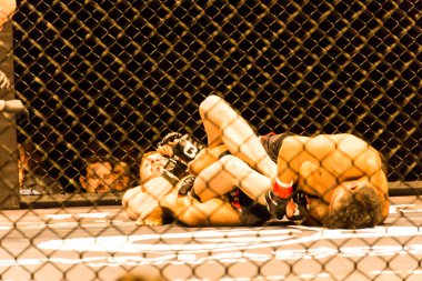 Hamburg, Almanya - 18 Kasım 2017: Alexander parlaklık ve Mustafa Ahmedi biz aşk Mma 34 sırasında arasındaki mücadele 