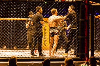 Hamburg, Almanya - 18 Kasım 2017: Alexander parlaklık ve Mustafa Ahmedi biz aşk Mma 34 sırasında arasındaki mücadele 