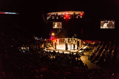 Hamburg, Almanya - 18 Kasım 2017: Alex Wiens ve Amir şah Bayat biz aşk Mma 34 sırasında arasındaki mücadele 