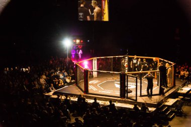 Hamburg, Almanya - 18 Kasım 2017: Alex Wiens ve Amir şah Bayat biz aşk Mma 34 sırasında arasındaki mücadele 