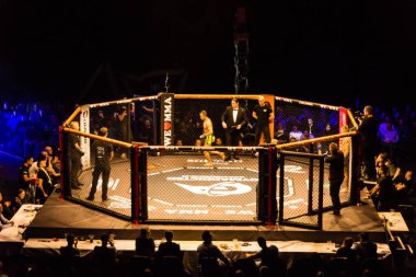 Hamburg, Almanya - 18 Kasım 2017: Alex Wiens ve Amir şah Bayat biz aşk Mma 34 sırasında arasındaki mücadele 