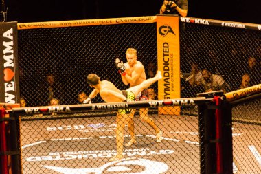 Hamburg, Almanya - 18 Kasım 2017: Alex Wiens ve Amir şah Bayat biz aşk Mma 34 sırasında arasındaki mücadele 