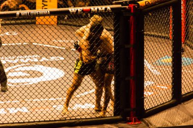 Hamburg, Almanya - 18 Kasım 2017: Alex Wiens ve Amir şah Bayat biz aşk Mma 34 sırasında arasındaki mücadele 