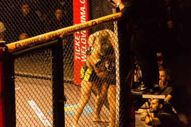 Hamburg, Almanya - 18 Kasım 2017: Alex Wiens ve Amir şah Bayat biz aşk Mma 34 sırasında arasındaki mücadele 