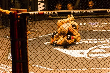 Hamburg, Almanya - 18 Kasım 2017: Alex Wiens ve Amir şah Bayat biz aşk Mma 34 sırasında arasındaki mücadele 